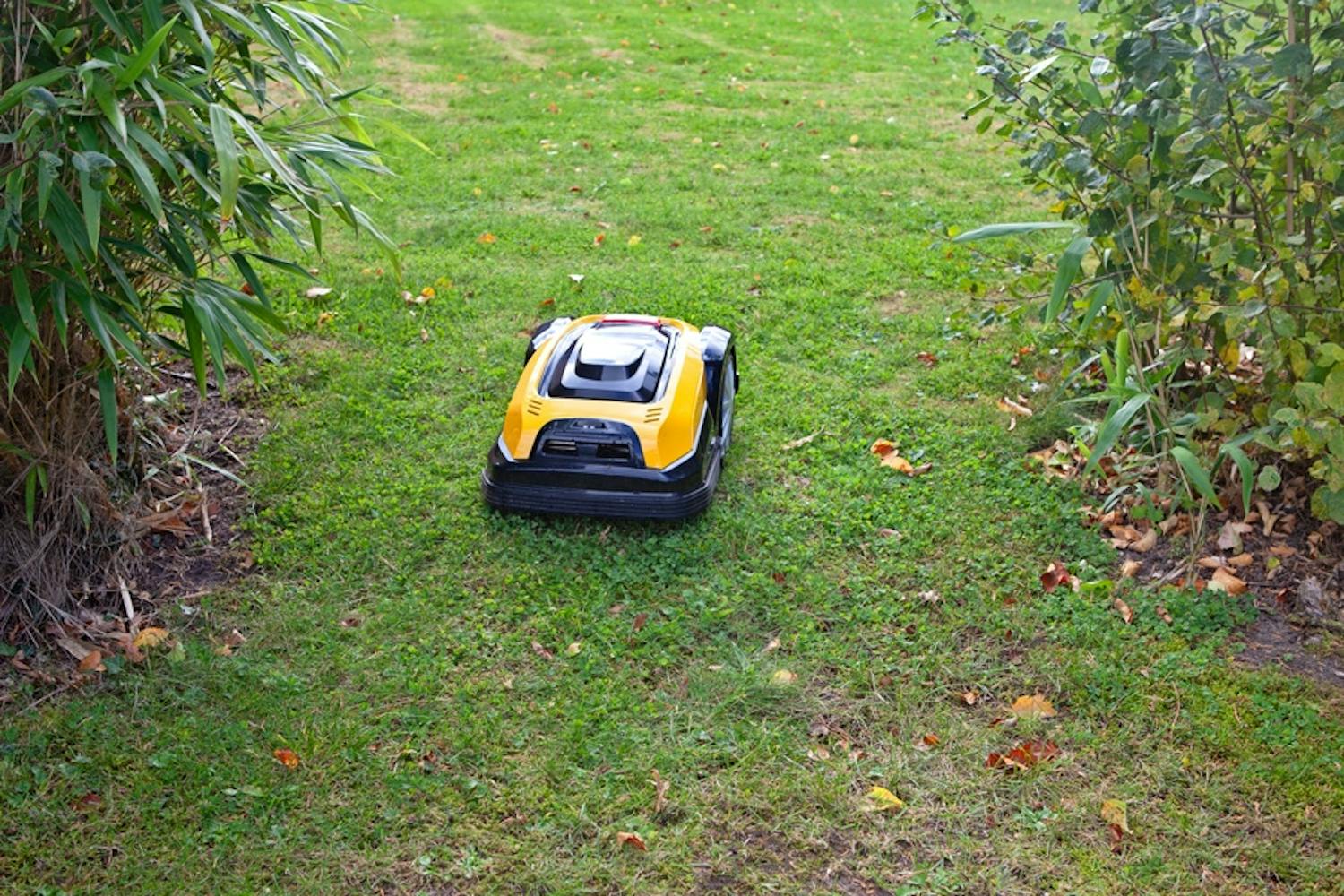 Robotplæneklipper: Smalle passager og forhindringer som bede og træer kræver, at robotplæneklipperen kører omveje. Og så skal du måske købe en model, der rækker lidt længere. Robotplæneklipper: Smalle passager og forhindringer som bede og træer kræver, at robotplæneklipperen kører omveje. Og så skal du måske købe en model, der rækker lidt længere.